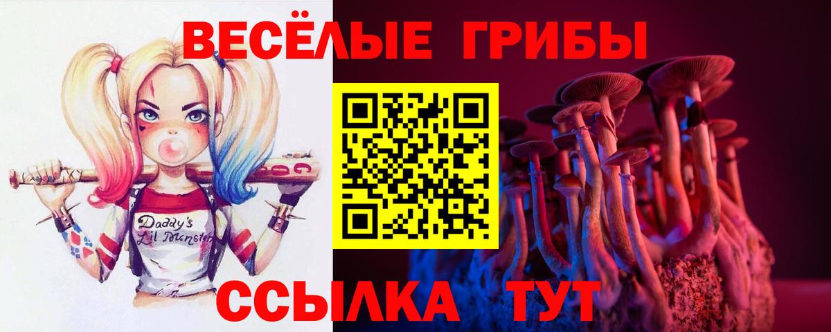 Псилоцибиновые грибы ЛСД  Псилоцибиновые грибы GOLDEN TEACHER  Куйбышев  Вход с VPN 